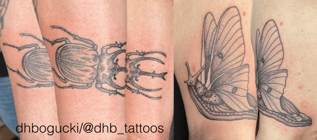 Beetle and slug moth blackwork tattoo.