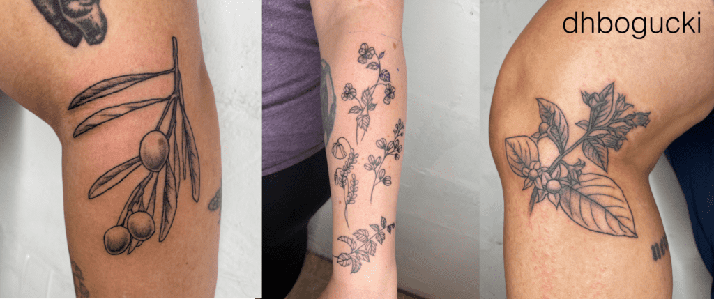 Belladonna, plants, olive tree tattoos
